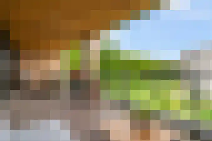 Barend Veenendaalstraat 12 Ede thumbnail 39
