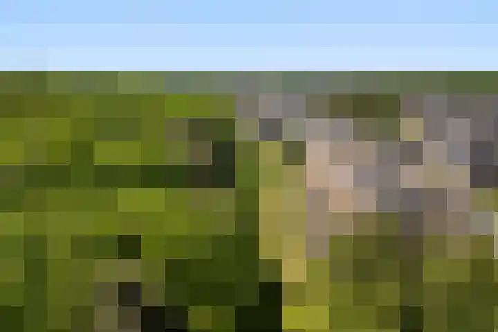 Barend Veenendaalstraat 12 Ede thumbnail 4