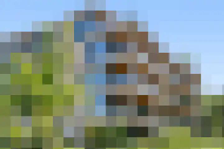 Barend Veenendaalstraat 12 Ede thumbnail 60