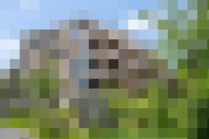 Barend Veenendaalstraat 12 Ede thumbnail 61