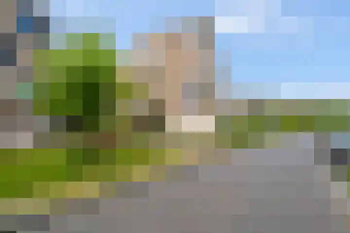 Barend Veenendaalstraat 12 Ede thumbnail 64