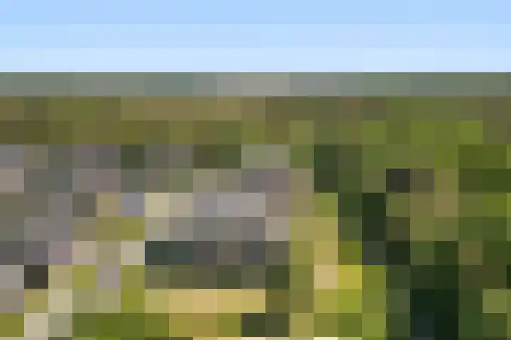Barend Veenendaalstraat 12 Ede thumbnail 69