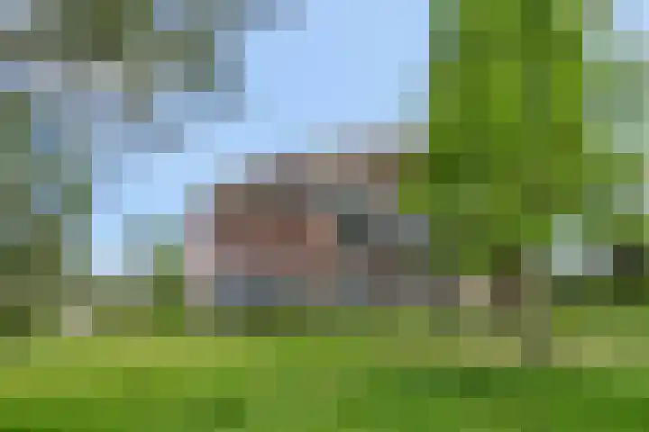 Barend Veenendaalstraat 12 Ede thumbnail 7