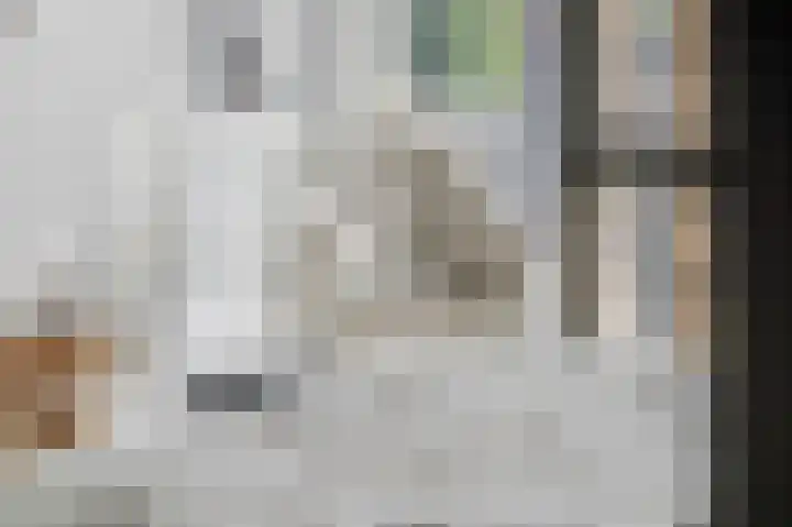 Barend Veenendaalstraat 20 Ede thumbnail 29