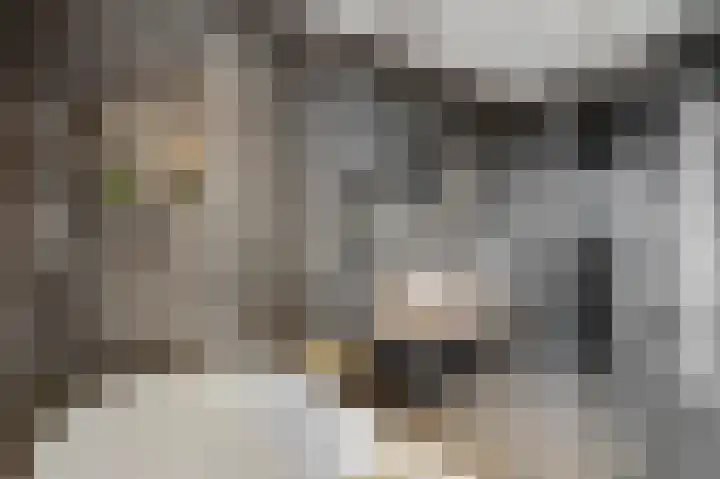 Barend Veenendaalstraat 20 Ede thumbnail 31