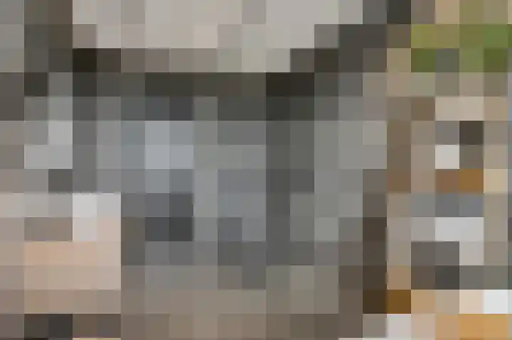 Barend Veenendaalstraat 20 Ede thumbnail 32