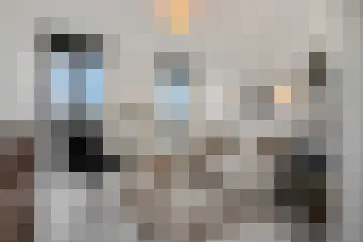 Barend Veenendaalstraat 20 Ede thumbnail 40
