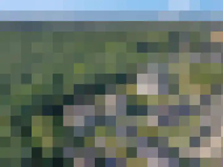 Barend Veenendaalstraat 20 Ede thumbnail 69