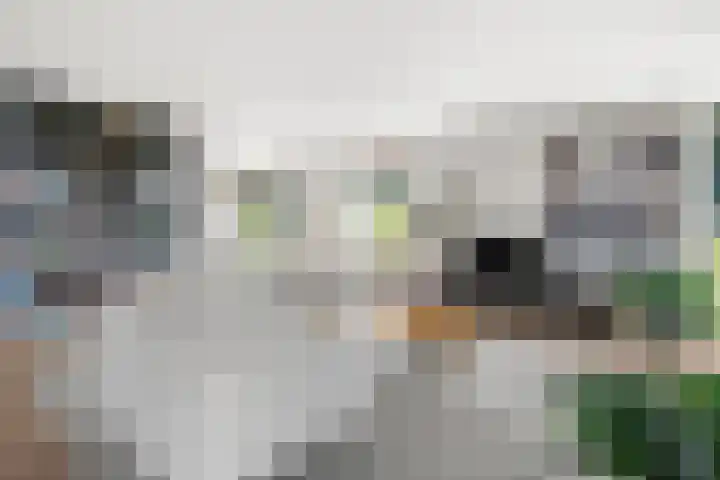 Barend Veenendaalstraat 6 Ede thumbnail 10