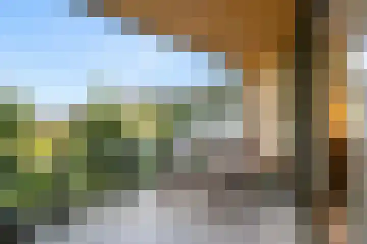 Barend Veenendaalstraat 6 Ede thumbnail 22