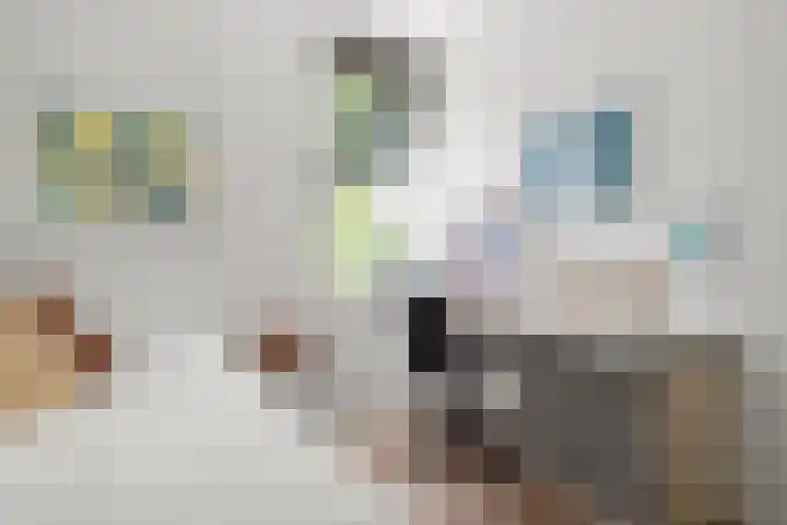 Barend Veenendaalstraat 6 Ede thumbnail 30