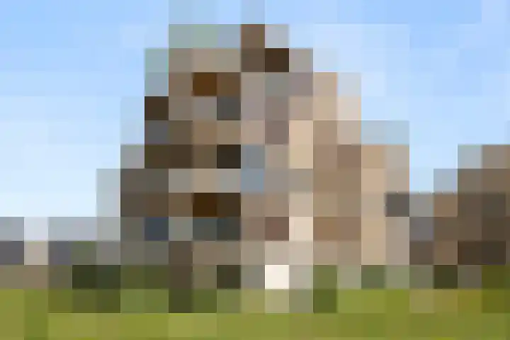 Barend Veenendaalstraat 6 Ede thumbnail 41