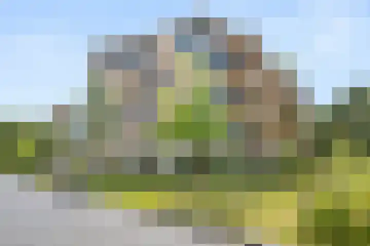 Barend Veenendaalstraat 6 Ede thumbnail 45