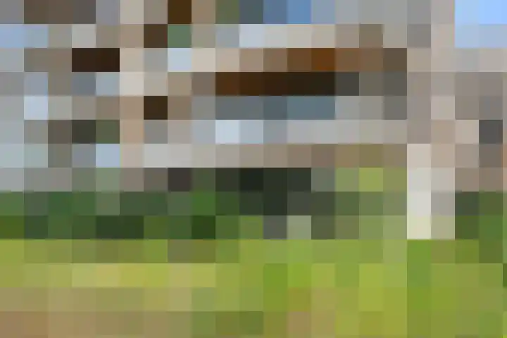 Barend Veenendaalstraat 6 Ede thumbnail 46