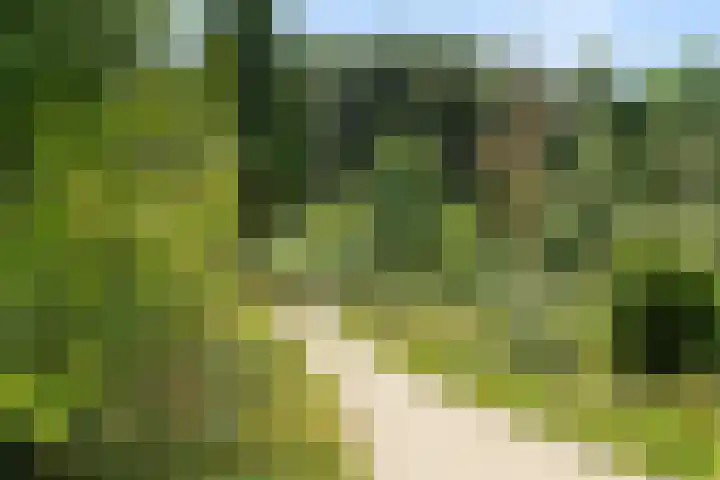 Barend Veenendaalstraat 6 Ede thumbnail 47