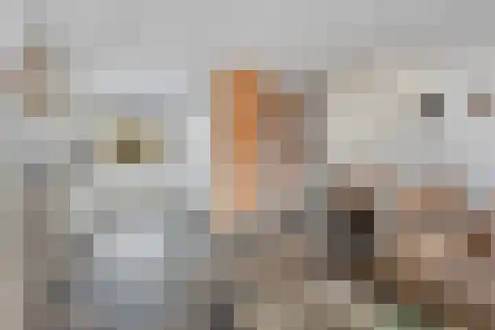 Barendrechtstraat 17 Tilburg thumbnail 13