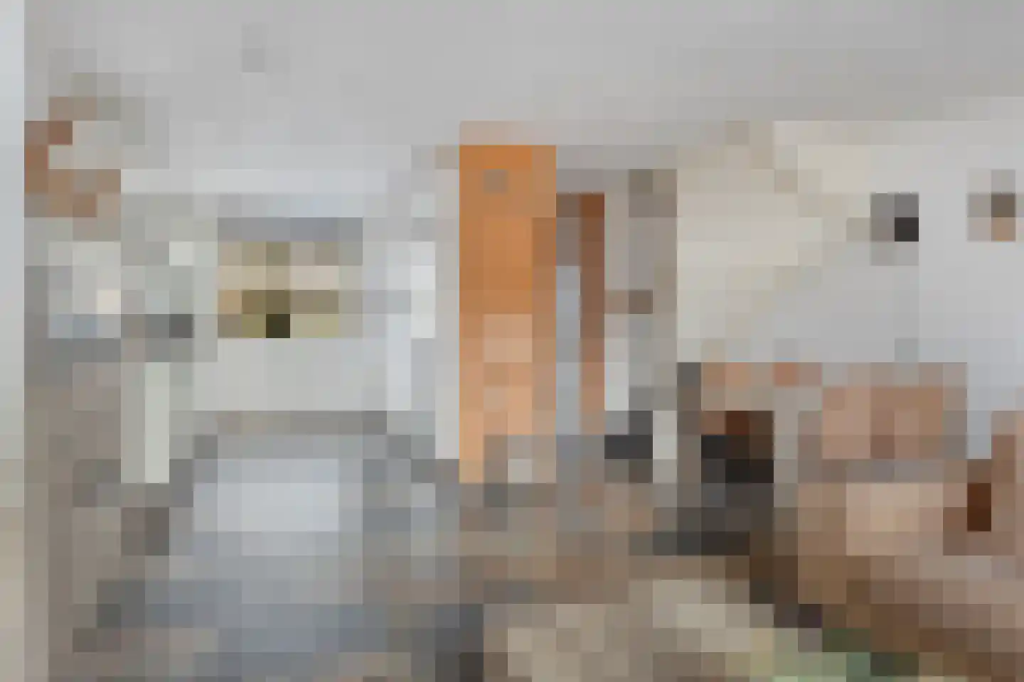 Barendrechtstraat 17 Tilburg thumbnail 13