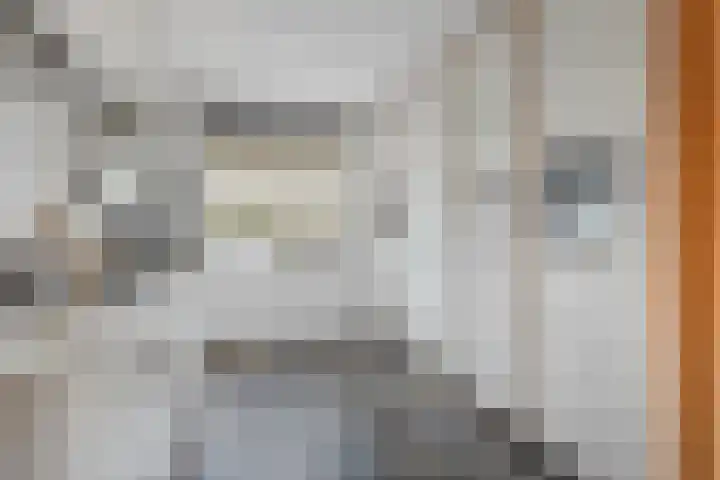 Barendrechtstraat 17 Tilburg thumbnail 16