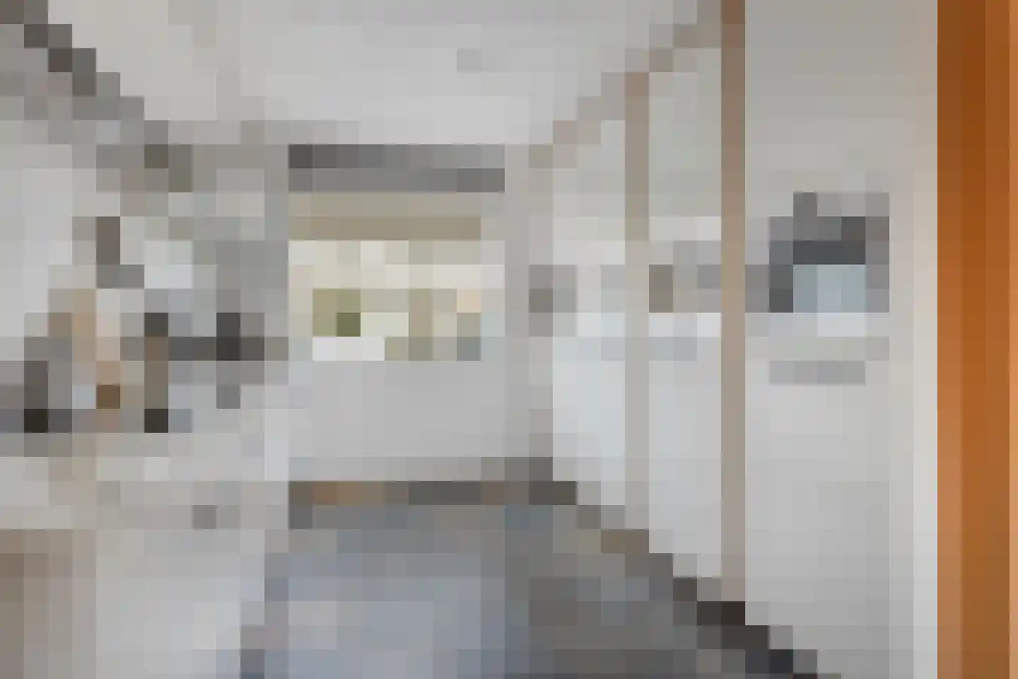 Barendrechtstraat 17 Tilburg thumbnail 16