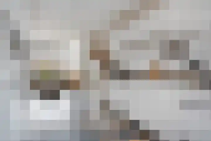 Barendrechtstraat 17 Tilburg thumbnail 17