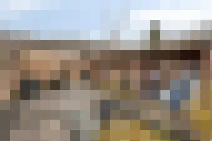 Barendrechtstraat 17 Tilburg thumbnail 32