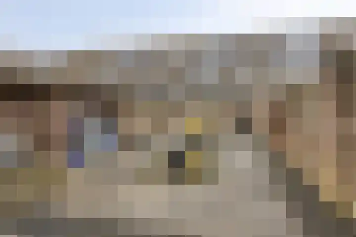 Barendrechtstraat 17 Tilburg thumbnail 5