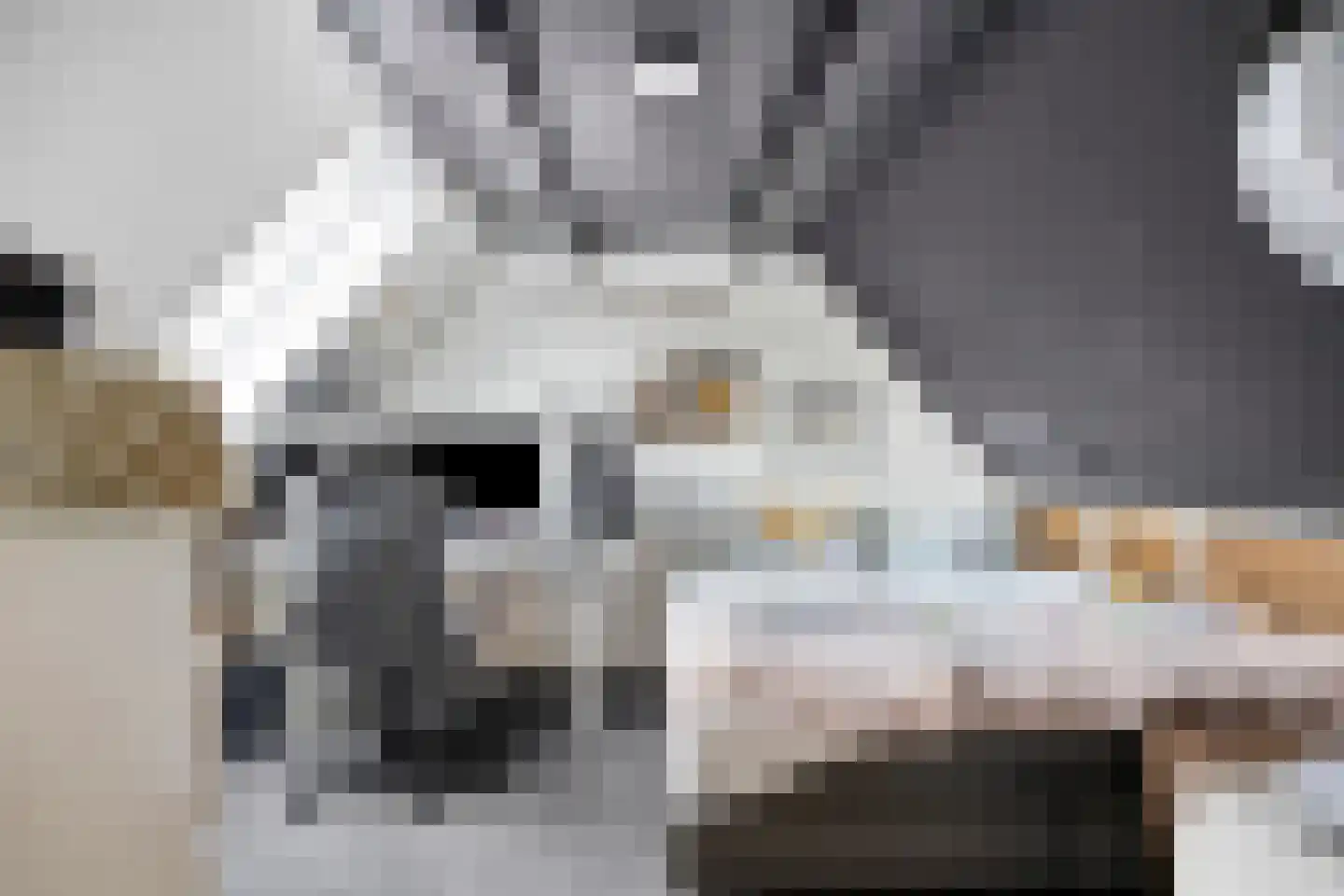Barendrechtstraat 34 Tilburg thumbnail 21