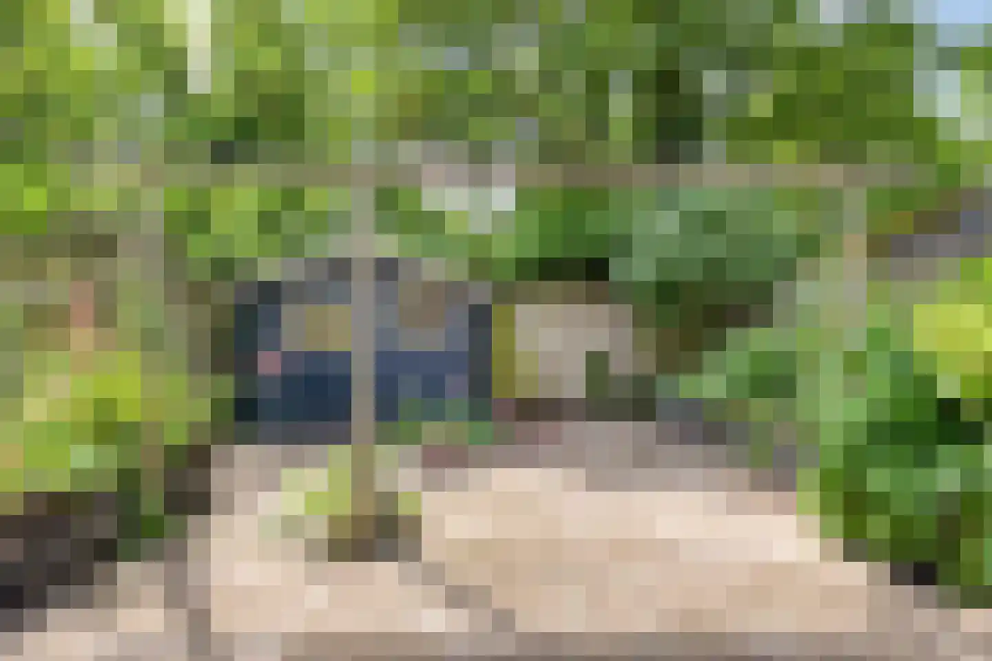 Barendrechtstraat 36 Arnhem thumbnail 33