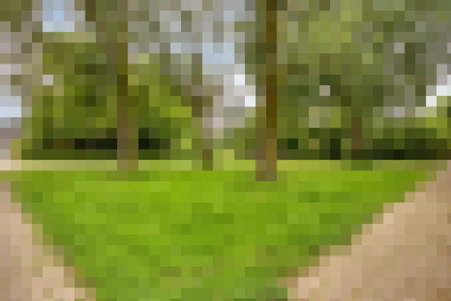 Barendrechtstraat 36 Arnhem thumbnail 38