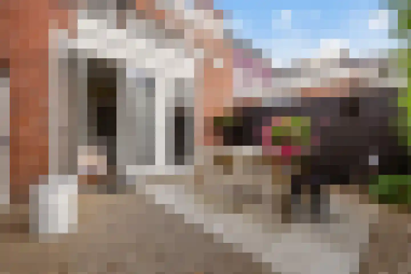 Barendsestraat 13 Haarlem thumbnail 28