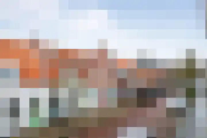 Barendsestraat 2 Haarlem thumbnail 28