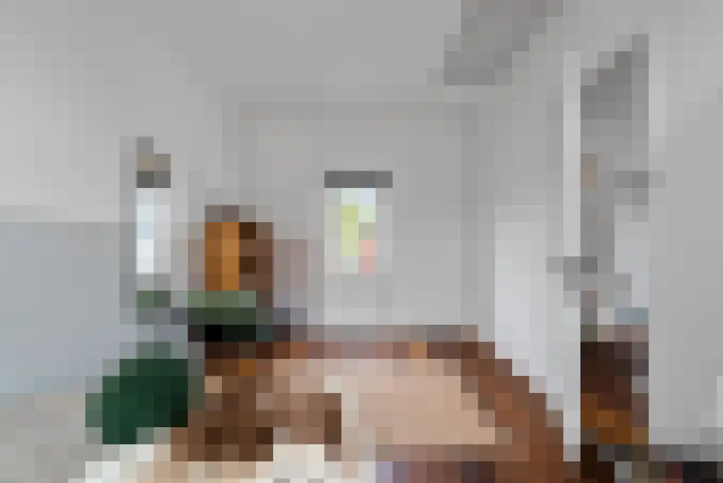 Barendsestraat 2 Haarlem thumbnail 35