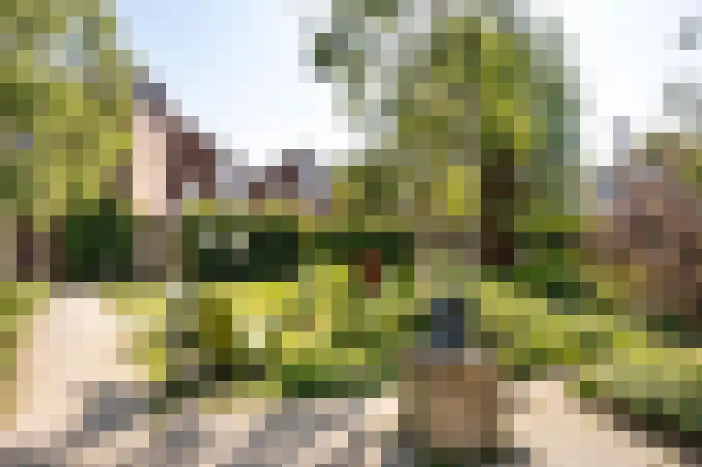 Barendsestraat 2 Haarlem thumbnail 55