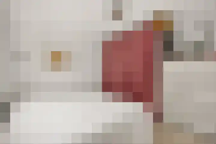 Barendsestraat 28 ZW Haarlem thumbnail 23