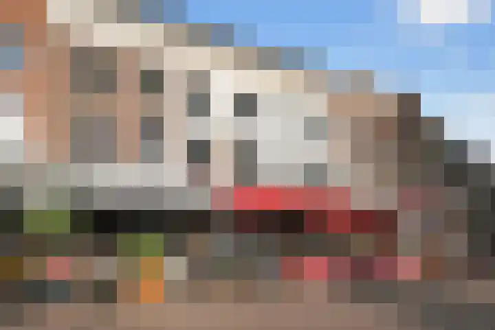 Barendsestraat 28 ZW Haarlem thumbnail 37