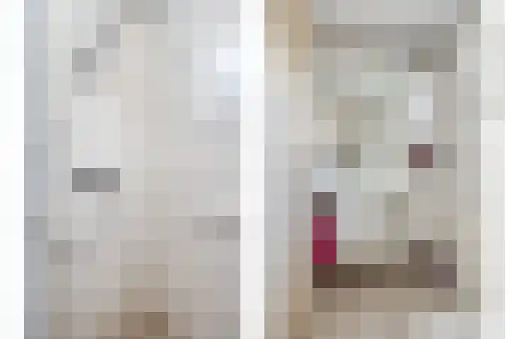 Barendtszenstraat 12 Tubbergen thumbnail 21