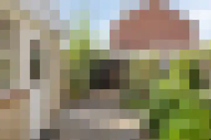 Barendtszenstraat 12 Tubbergen thumbnail 25