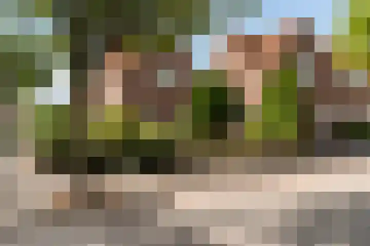 Barent Fockesstraat 2 Leeuwarden thumbnail 8