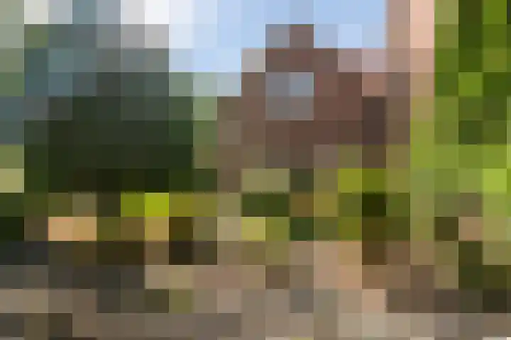 Barent Fockesstraat 2 Leeuwarden thumbnail 9