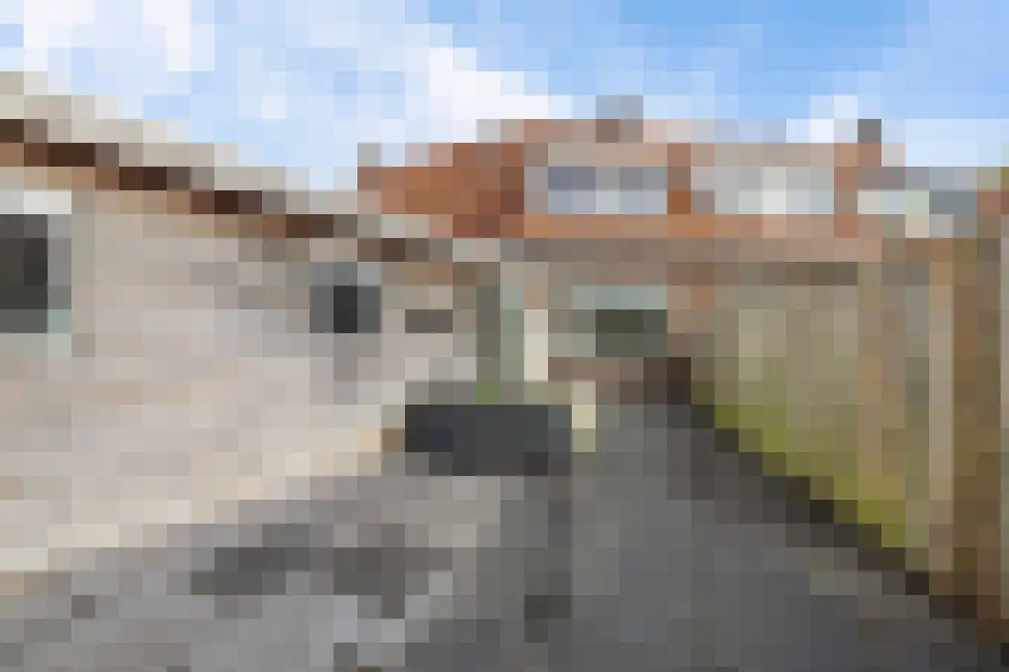 Barent Fockesstraat 58 Leeuwarden thumbnail 29
