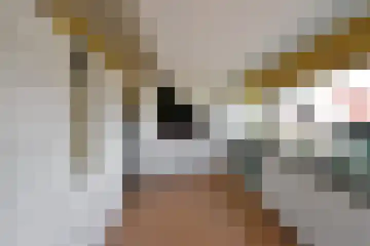 Barent Udolaan 6 Kortenhoef thumbnail 20