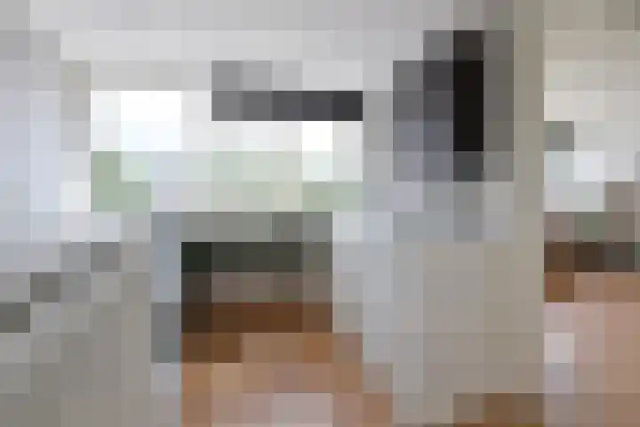 Barent Udolaan 6 Kortenhoef thumbnail 21