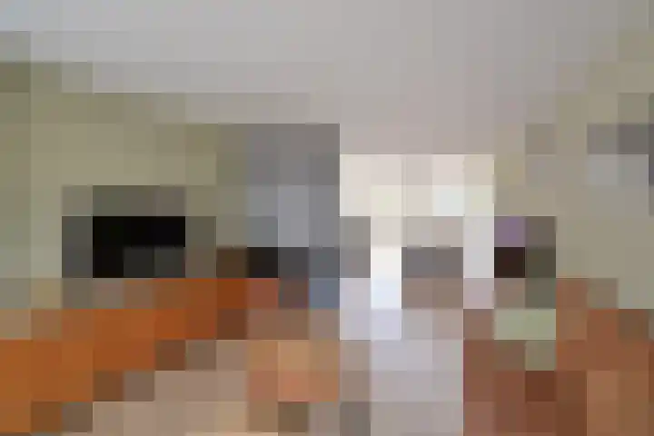 Barent Udolaan 6 Kortenhoef thumbnail 4