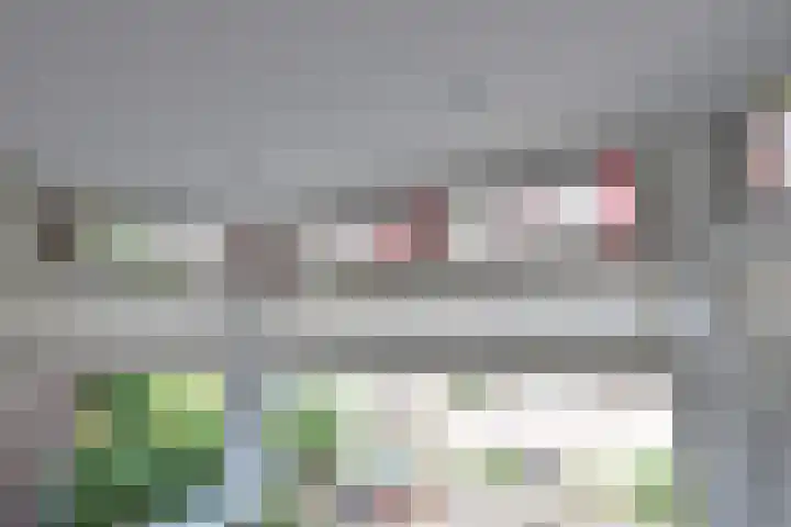 Barent Udolaan 6 Kortenhoef thumbnail 6