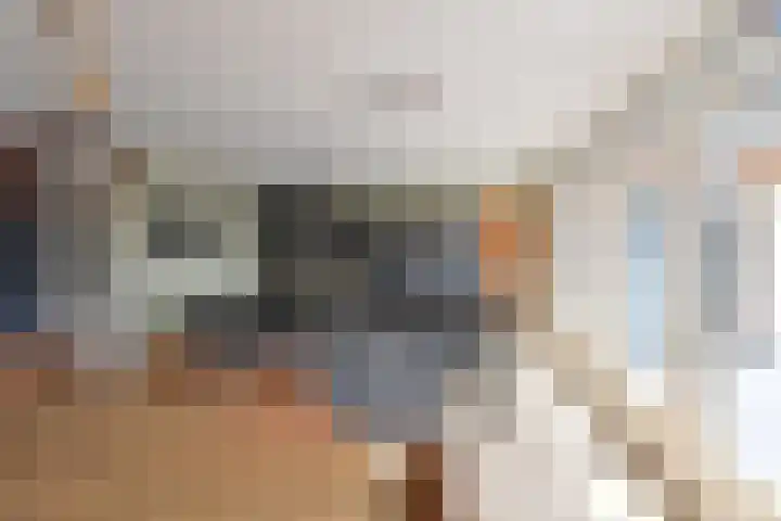 Barent Udolaan 6 Kortenhoef thumbnail 9