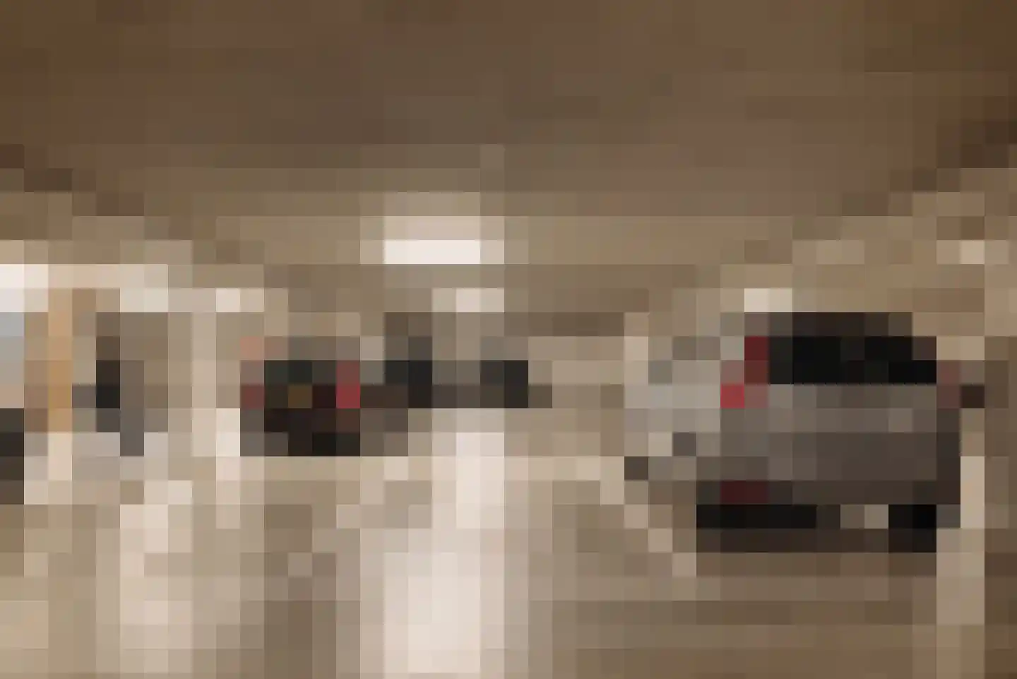 Barentszplein 2 G Amsterdam thumbnail 36