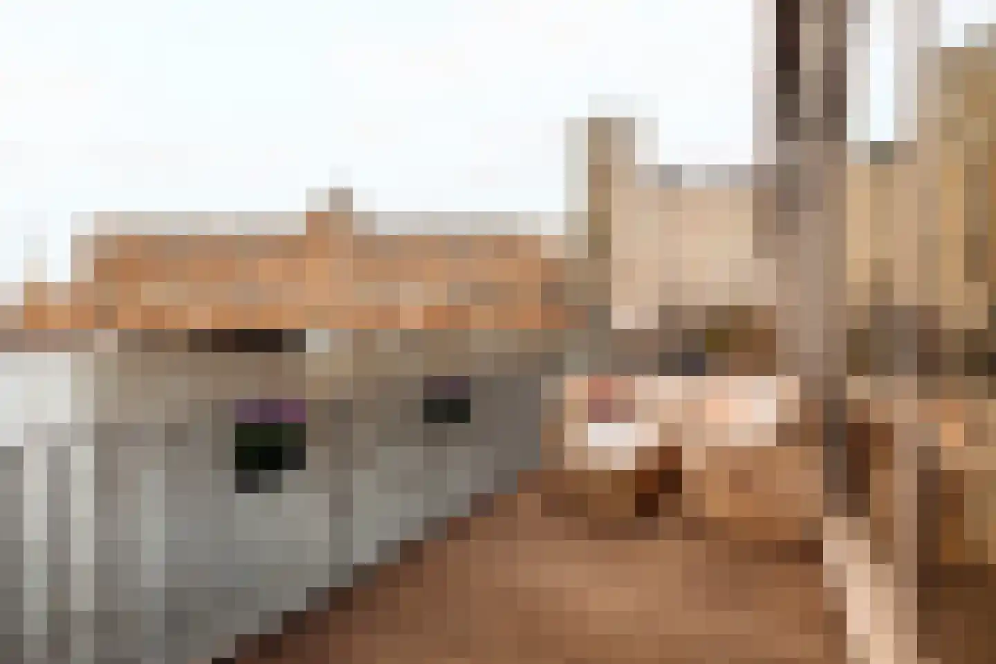 Barentszplein 2 G Amsterdam thumbnail 4