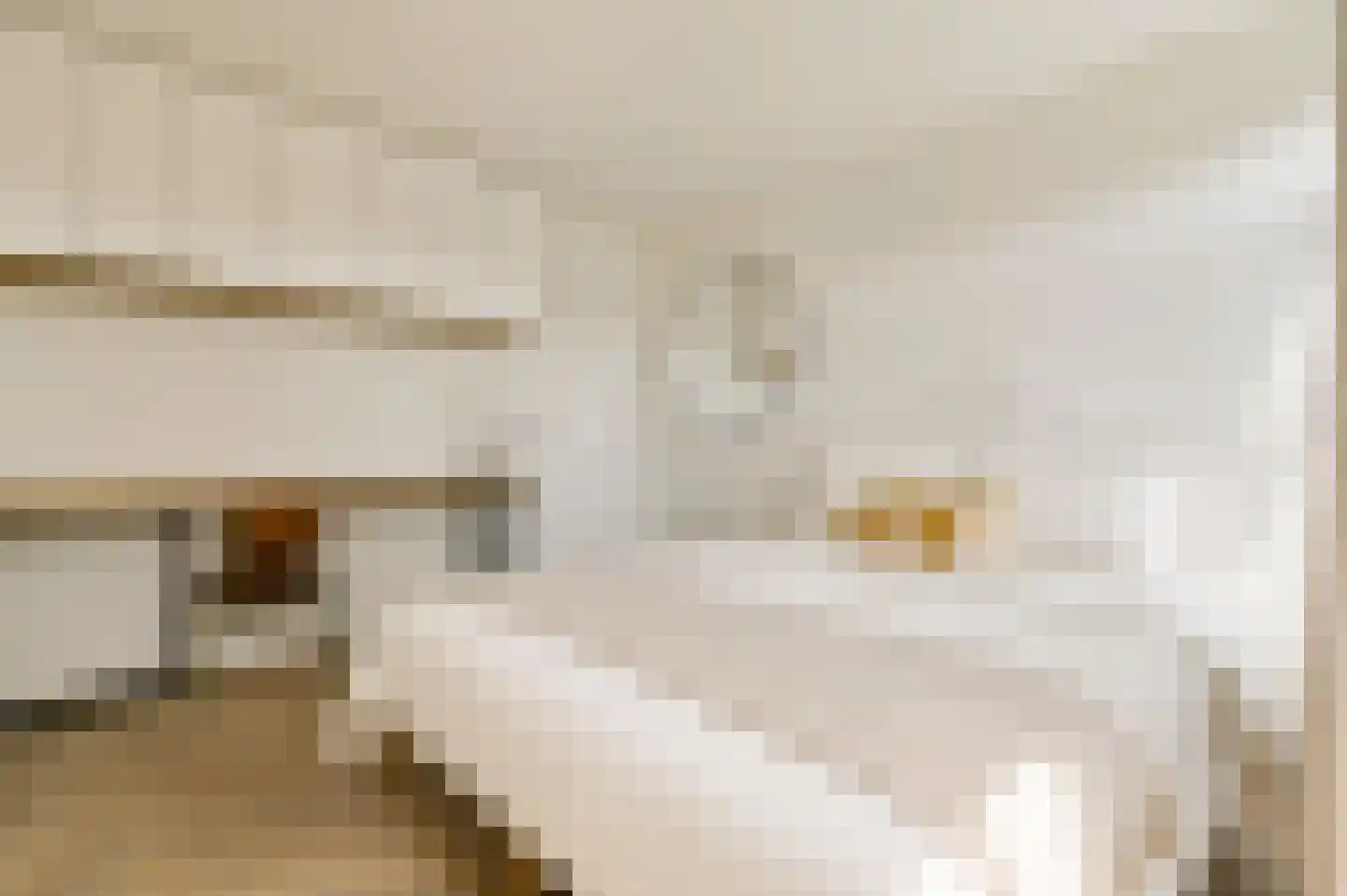Barentszplein 3 H Amsterdam thumbnail 15