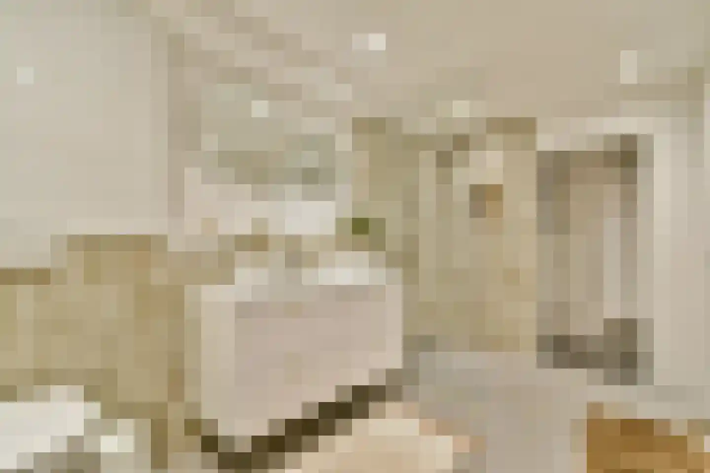 Barentszplein 3 H Amsterdam thumbnail 21