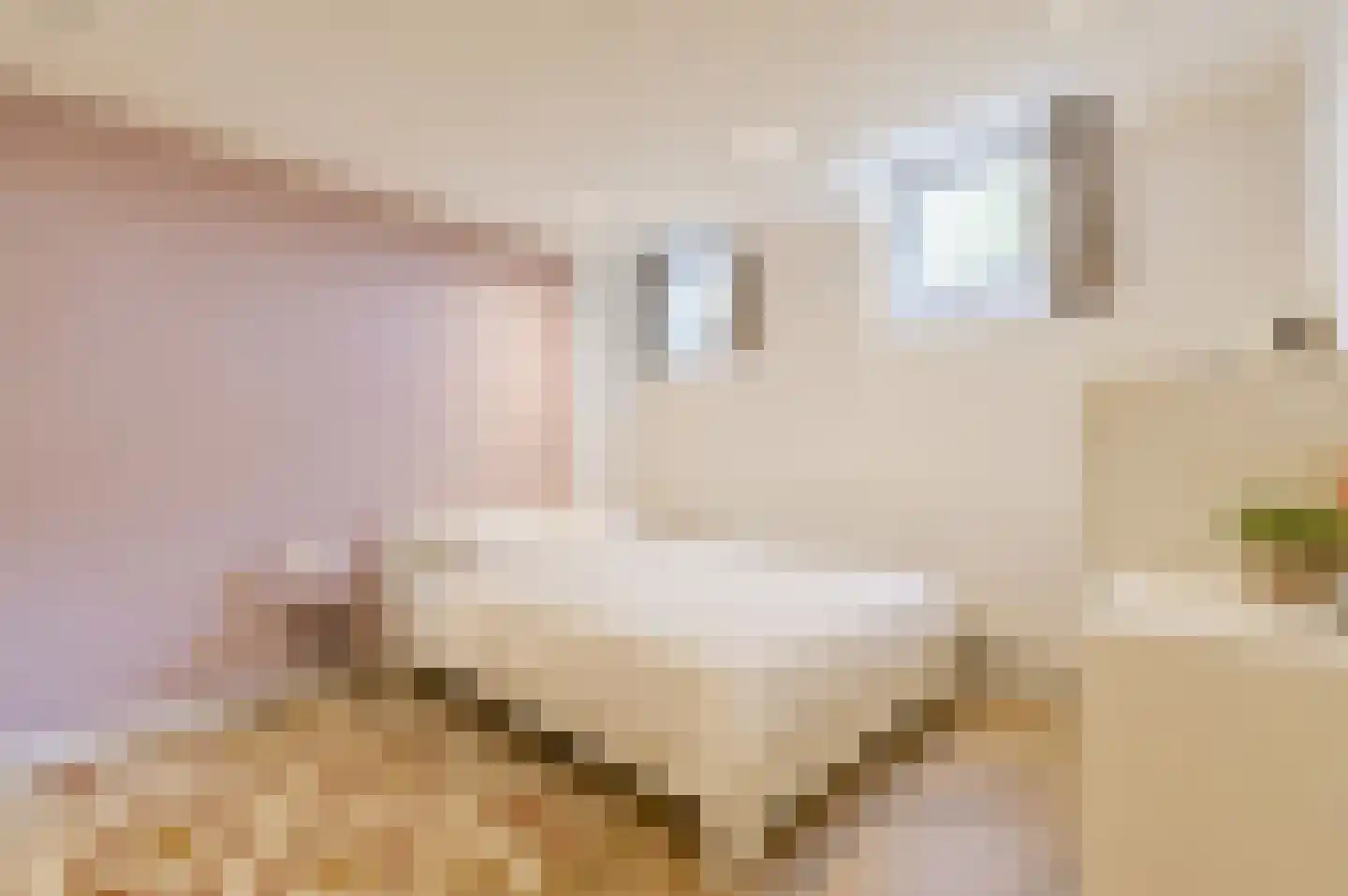 Barentszplein 3 H Amsterdam thumbnail 26